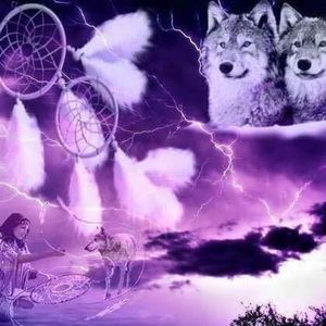 Meet your Posher, Terry